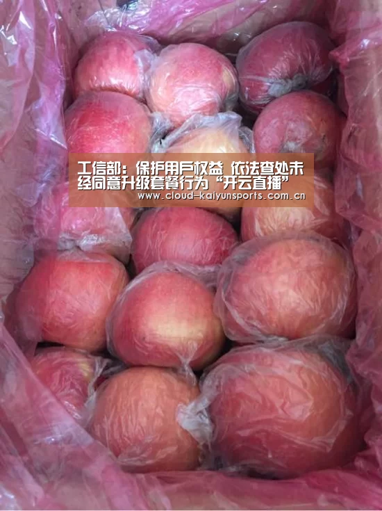 开云体育数据