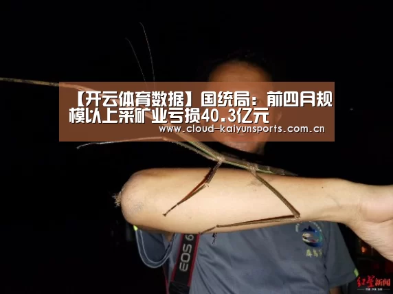 【开云体育数据】国统局：前四月规模以上采矿业亏损40.3亿元