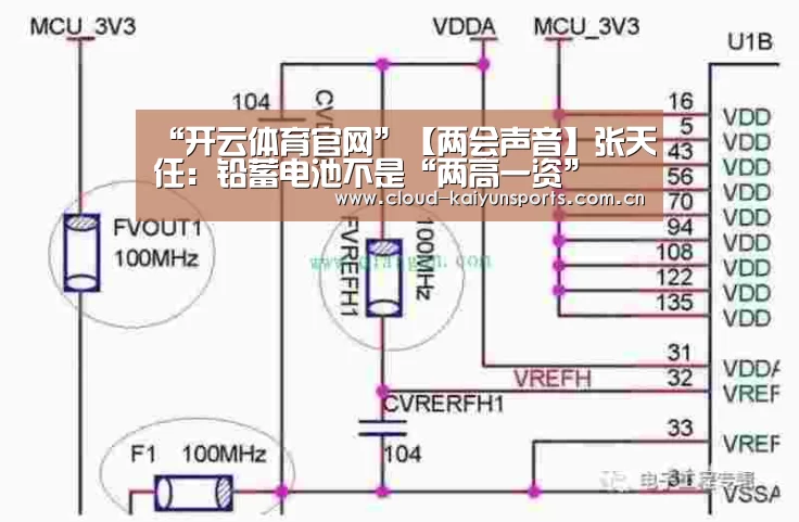 “开云体育官网”【两会声音】张天任:铅蓄电池不是“两高一资”(图2) 开云体育首页