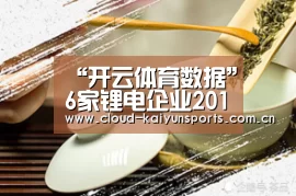 “开云体育数据”6家锂电企业2015净利润增长超150%(图3) 开云体育数据