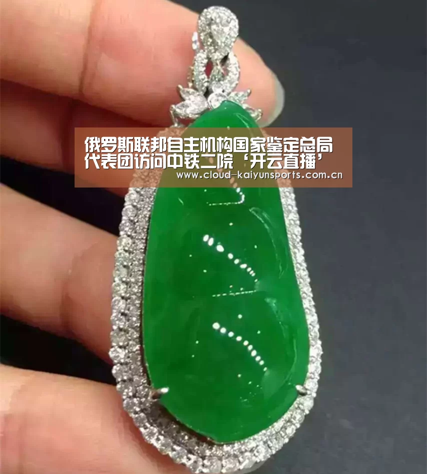 俄罗斯联邦自主机构国家鉴定总局代表团访问中铁二院‘开云直播’(图2) 开云体育官网