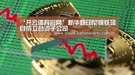 ‘开云体育官网’新华联印尼镍铁项目成立合资子公司(图2) 开云体育首页