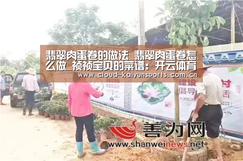 翡翠肉蛋卷的做法_翡翠肉蛋卷怎么做_祯祯宝贝的菜谱:开云体育首页(图2) 开云体育官网