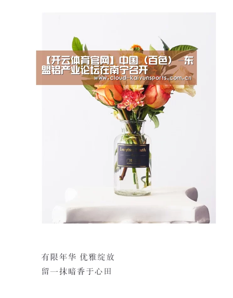 【开云体育官网】中国（百色）-东盟铝产业论坛在南宁召开