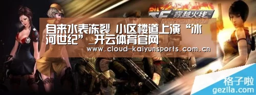 自来水表冻裂 小区楼道上演“冰河世纪”_开云体育官网(图3) 开云体育首页