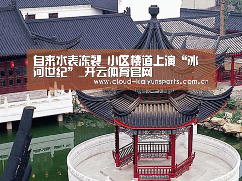 自来水表冻裂 小区楼道上演“冰河世纪”_开云体育官网(图1) 开云体育官网